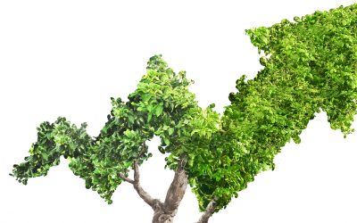 La Economía Social, una alternativa competitiva y solidaria