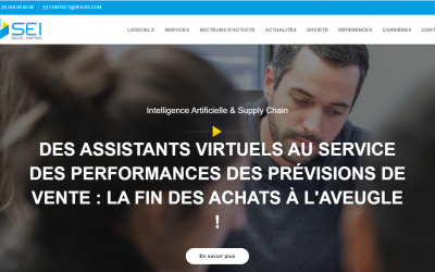 SEIk web berria aurkeztu digu